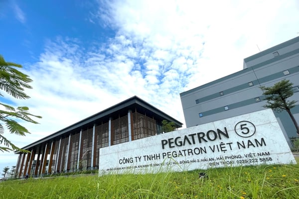 kenno_vietnam_pulse_november_2024_pegatron